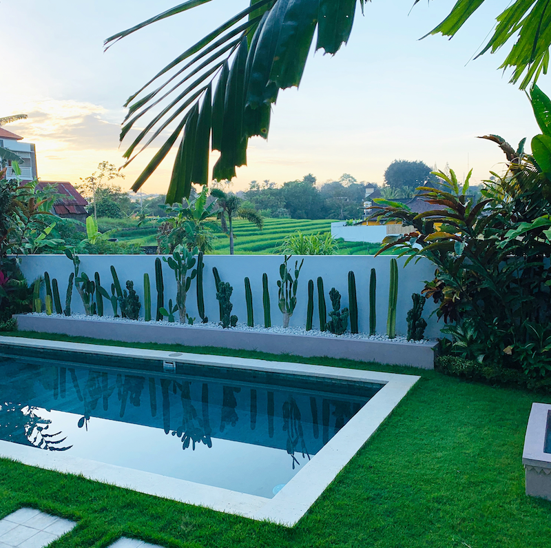Bali de-brief