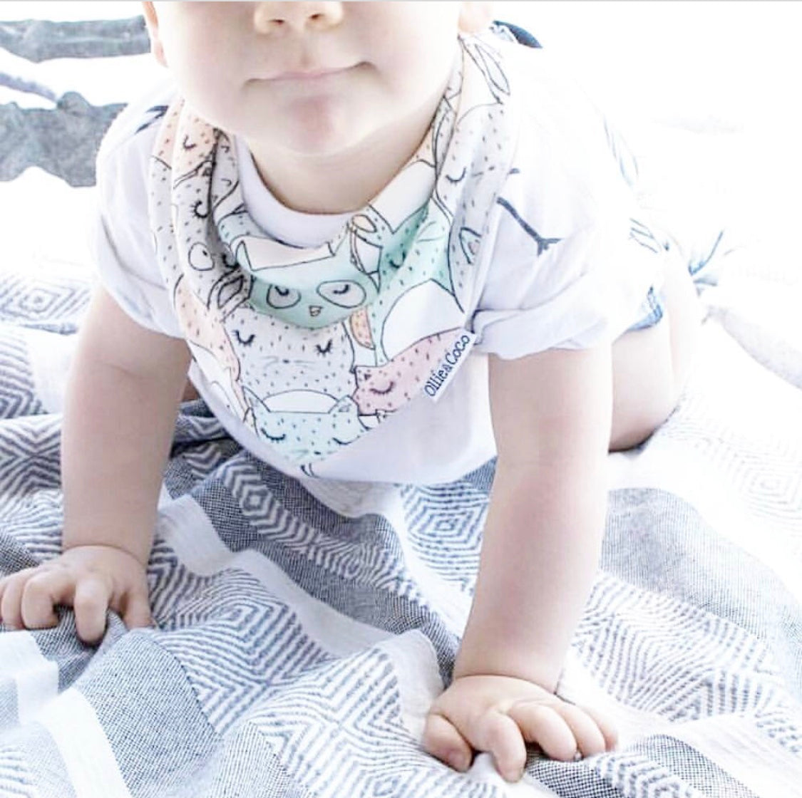 Organic Cotton Baby Bibs